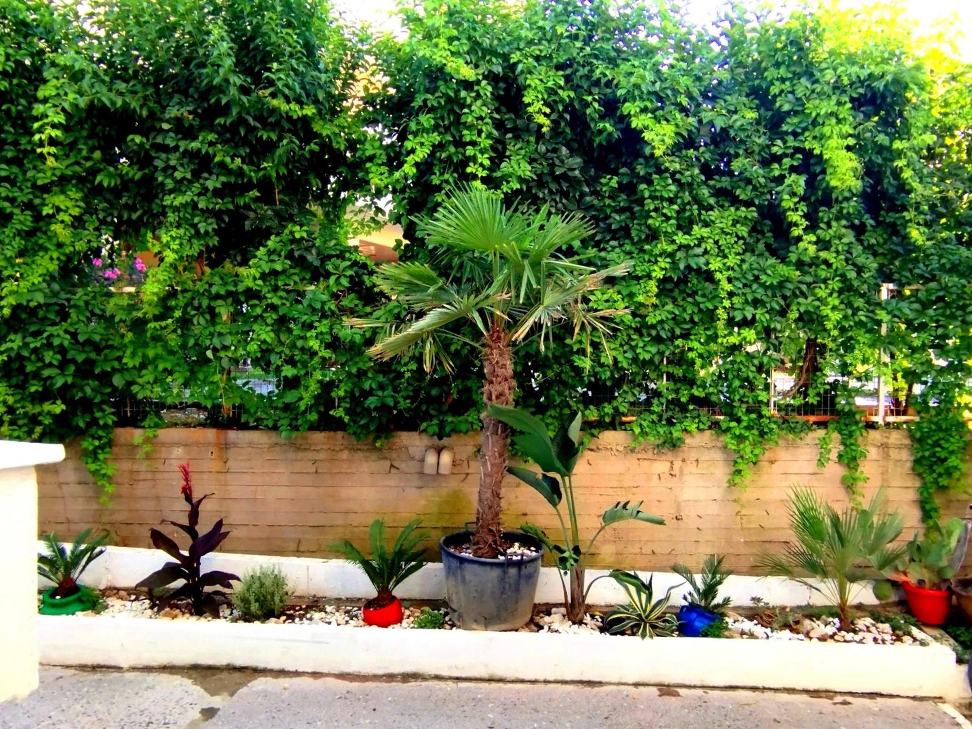 אגיה טריאדה Antonia'S Cozy Apartment מראה חיצוני תמונה